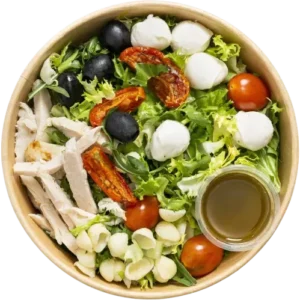 Salades pâtes poulets mozza