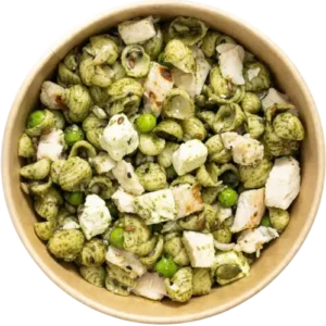 Salades pâtes poulets pesto